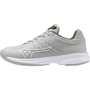 Mizuno Women’s Pro Fp Low Women’s Fastpitch Turf Shoe(Harbor Mist)