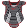 Grey/Cardinal