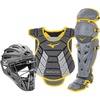 Grey/Yellow